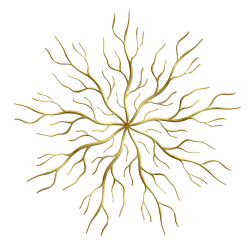 Wurzelspektrum in gold - Bewusstseinsarchitektur von The SoulPreneurs©